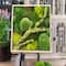 SuperMoss® All-Purpose Sticky Moss Mat